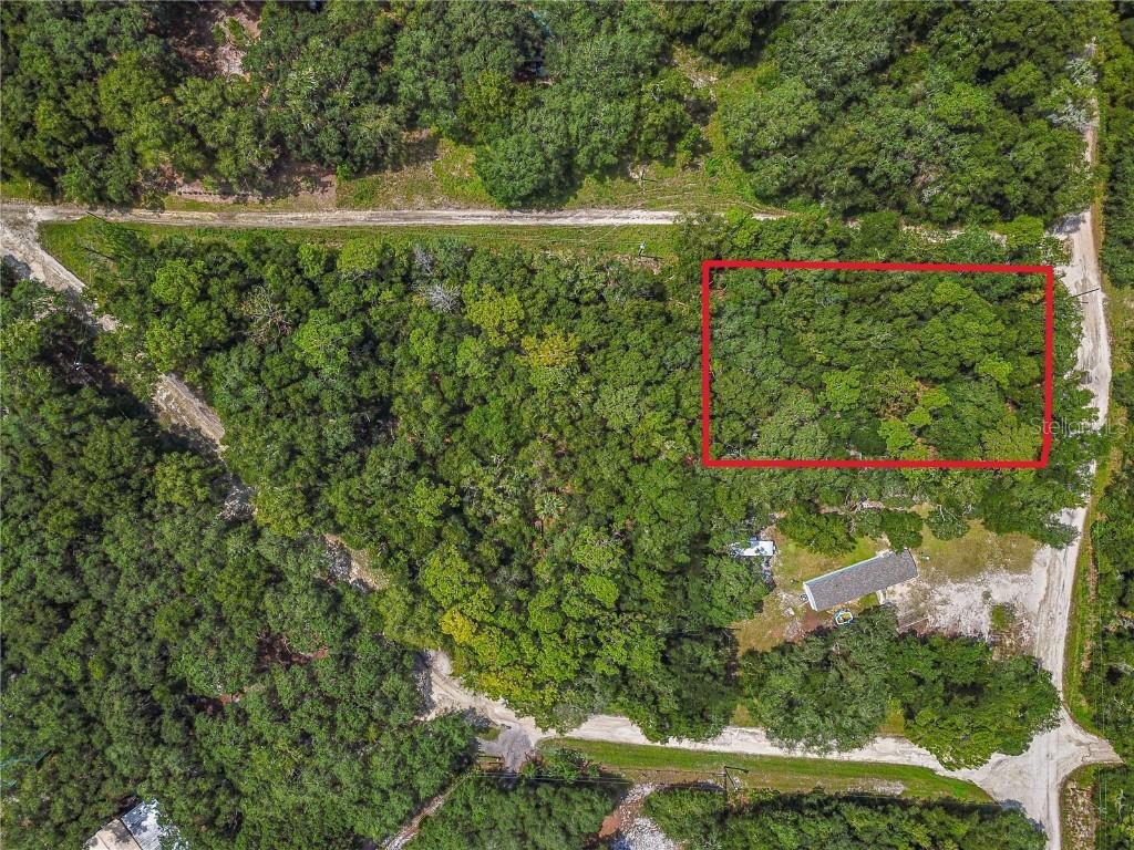 TBD NE 234th Place Rd., Fort Mc Coy, FL 32134