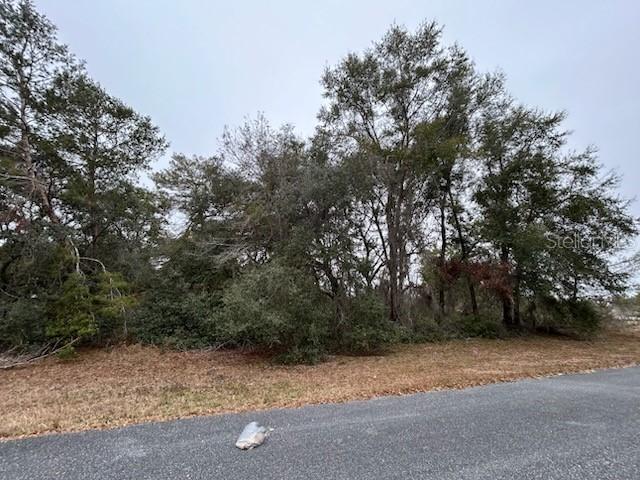 TBD SW 164th Place Rd., Ocala, FL 34473