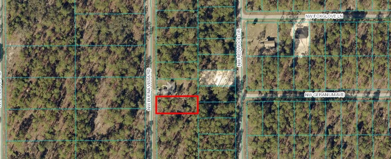 00 NW Buena Vista Rd., Dunnellon, FL 34431