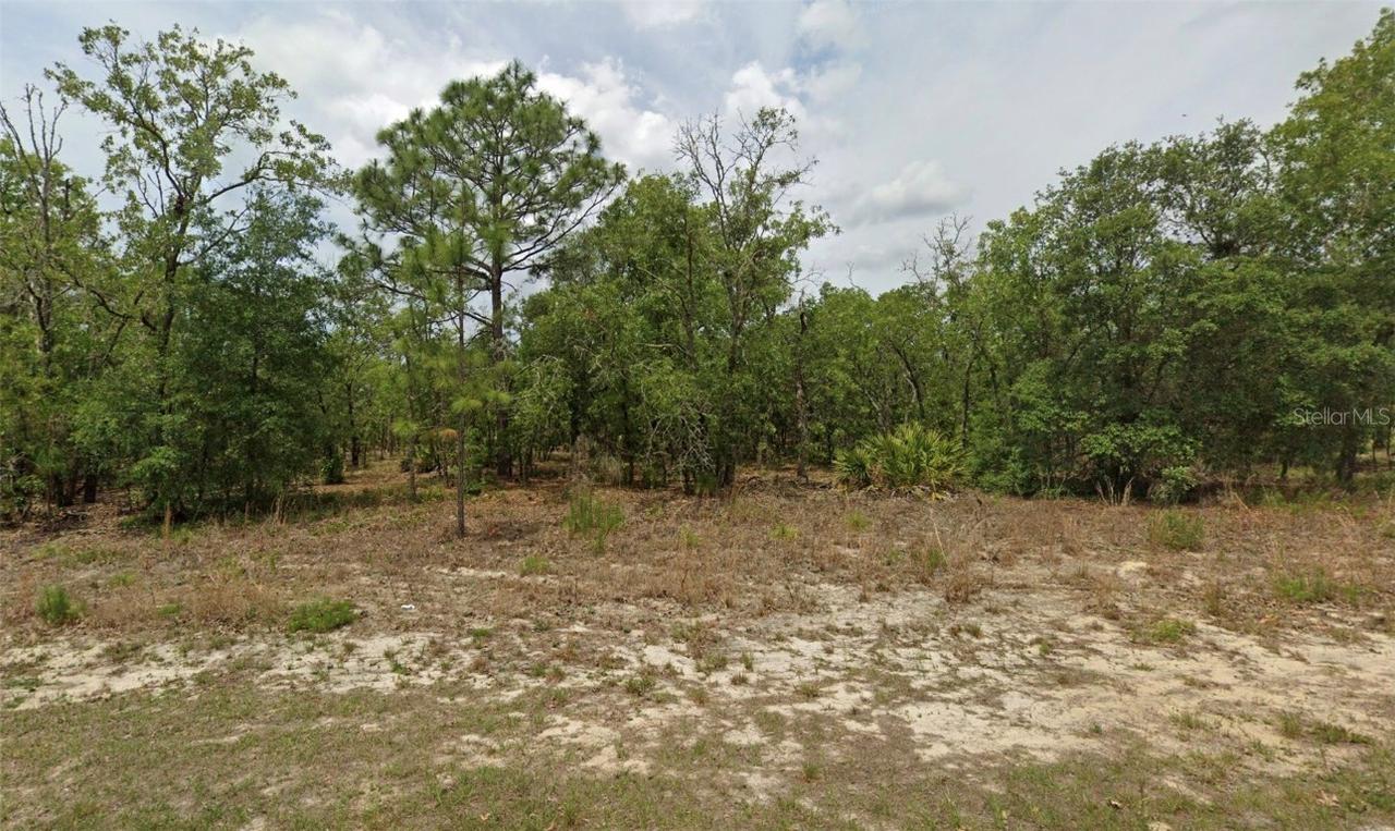 6198 N Darlington Dr., Citrus Springs, FL 34434