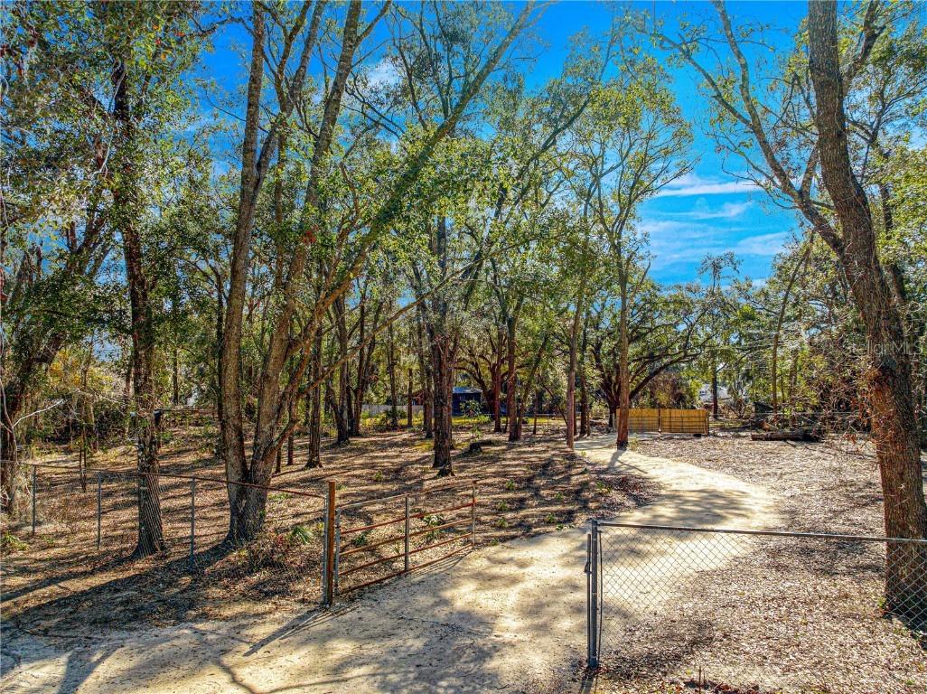 10425 SE Se 159th Lane Ln., Summerfield, FL 34491