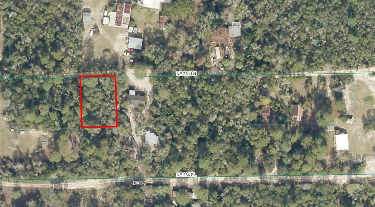 TBD NE 234th Ln., Fort Mc Coy, FL 32134