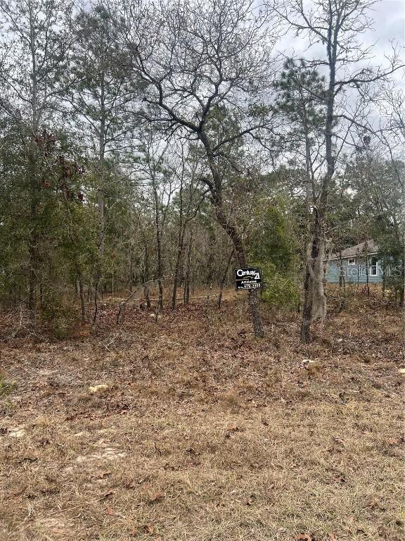 TBD Lot 1 NE 154th Avenue, Williston, FL 32696