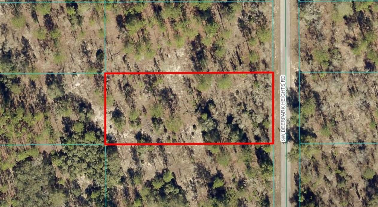 TBD Lot 8 SW Deerpark Heights Rd., Dunnellon, FL 34431