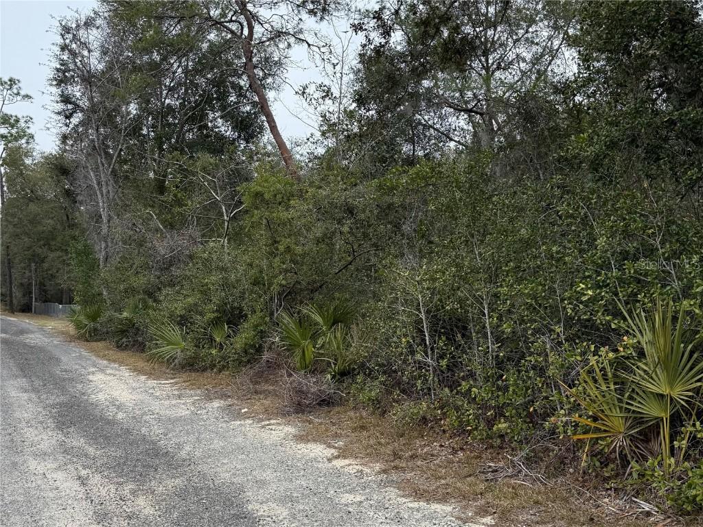 NE 191st Ln., Fort Mc Coy, FL 32134