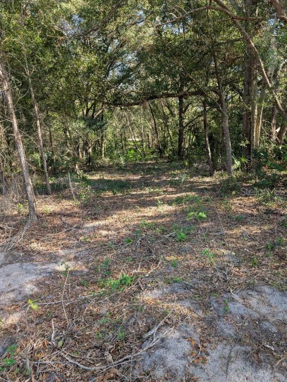 SE 176th Pl., Weirsdale, FL 32195