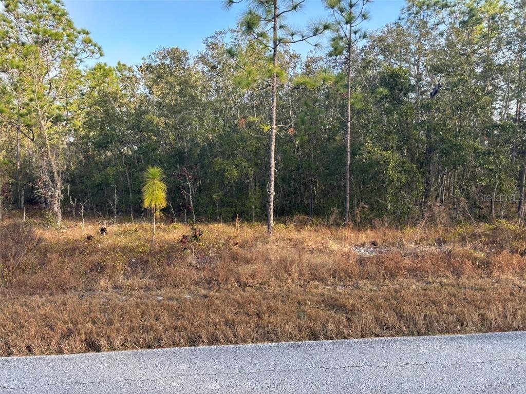 TBD SW Ancher Blvd., Dunnellon, FL 34431