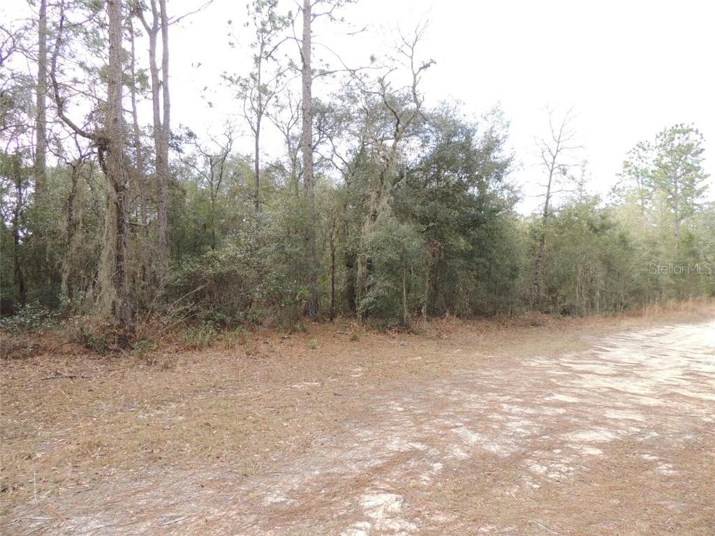 11350 NE 73rd Ln., Bronson, FL 32621