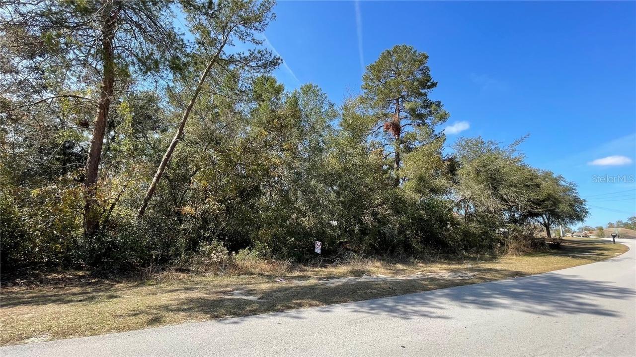 SW 38th Ave., Ocala, FL 34476