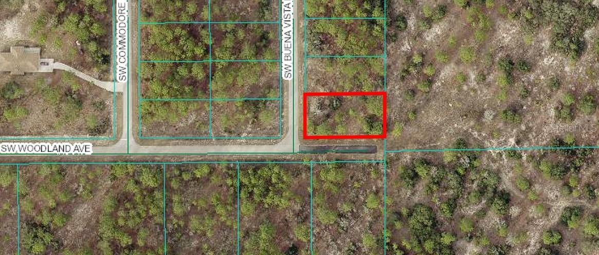 00 SW Buena Vista Rd., Dunnellon, FL 34431
