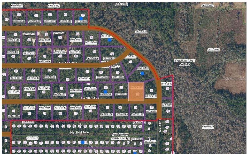 TBD NE 3rd Ave Ave., Palatka, FL 32177