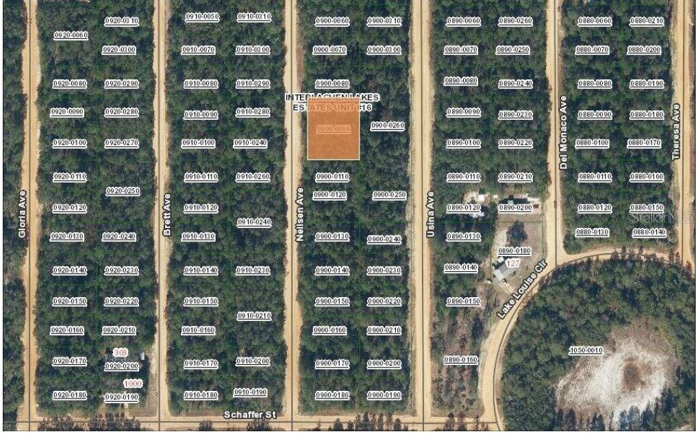 TBD Neilsen Ave., Interlachen, FL 32148