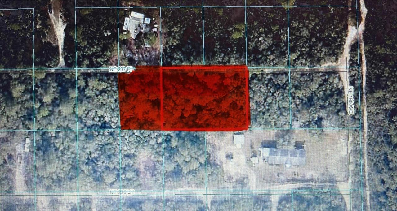 TBD NE 237th Pl., Fort Mc Coy, FL 32134