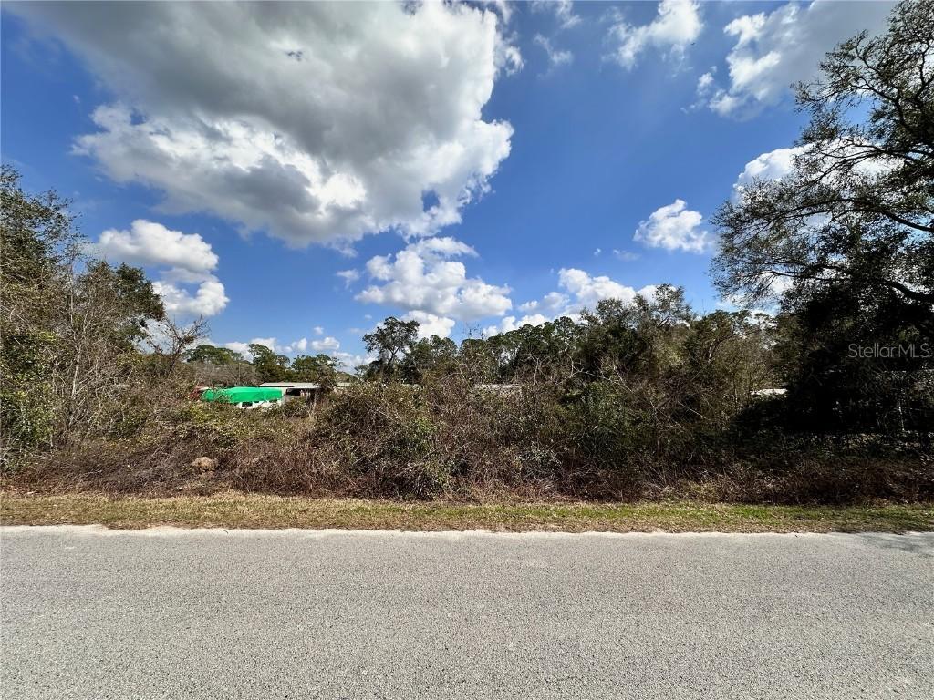 TBD SE 183rd Ter., Ocklawaha, FL 32179
