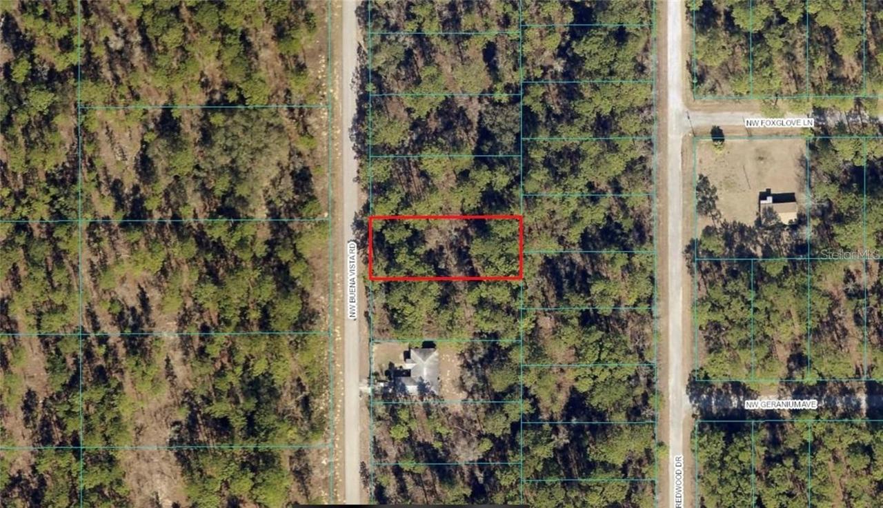 00 SW Buena Vista Rd., Dunnellon, FL 34431