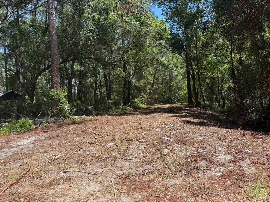 TBD NE 115 Ave., Fort Mc Coy, FL 32134