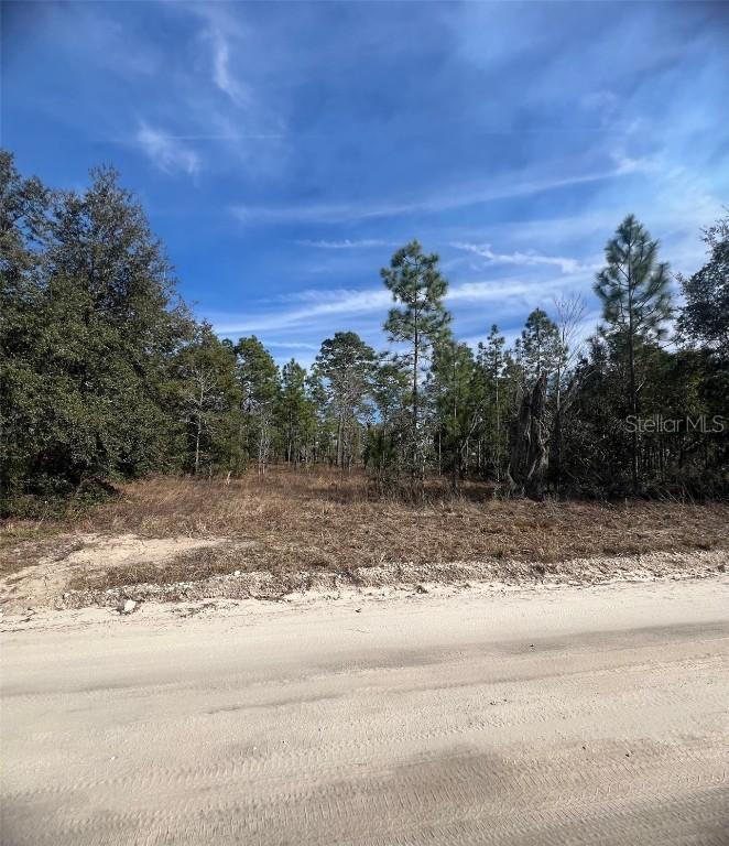 TBD SE 185 Ter., Morriston, FL 32668