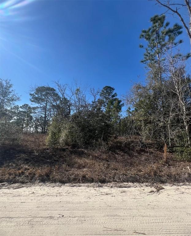 TBD SE 186 Ter., Morriston, FL 32668