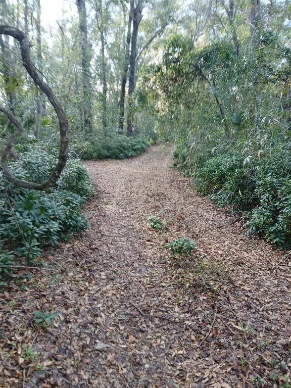 620 NW 37th St., Gainesville, FL 32607