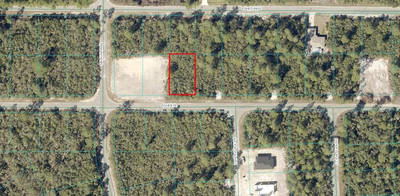 Lot 8 Fisher Pl., Ocklawaha, FL 32179