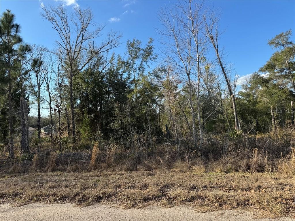 Fisher Lane Way, Ocklawaha, FL 32179