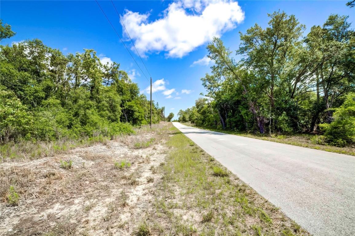 TBD SW Pineapple Hill Drive, Dunnellon, FL 34431
