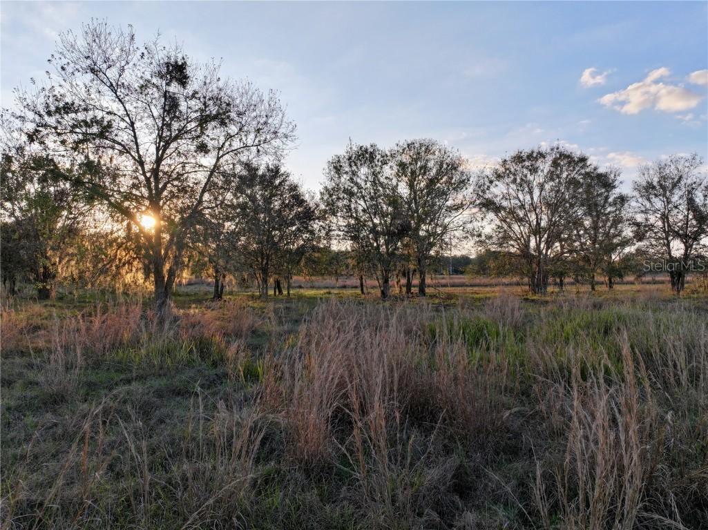 9125 County Line Rd., Fort Meade, FL 33841
