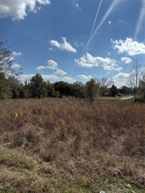 TBD SW 100th Ln., Dunnellon, FL 34432