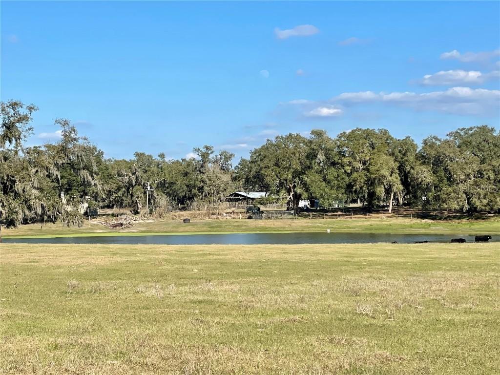 TBD SE 155 Ave., Weirsdale, FL 32195