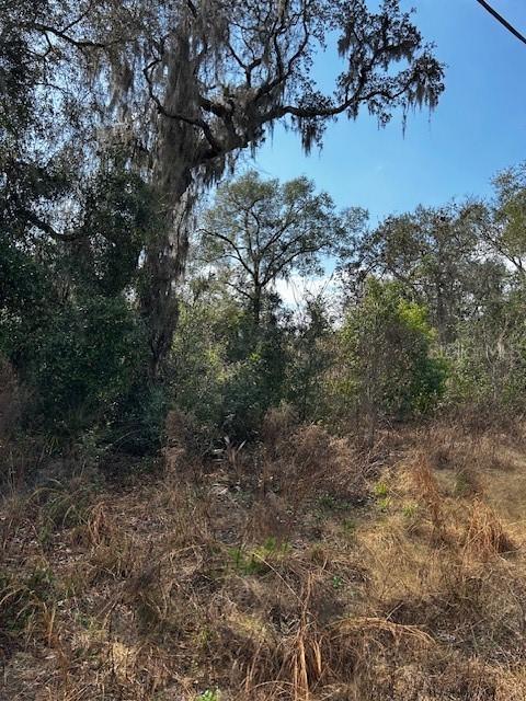Cypress Road, Lot 12, Ocala, FL 34472