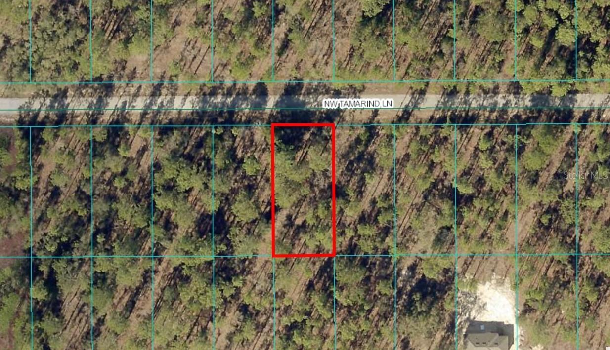 TBD LOT 6 NW Tamarind Ln., Dunnellon, FL 34431