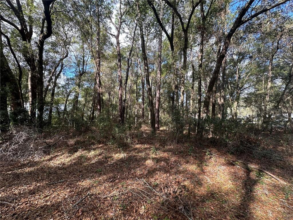 0000 Sw 189th Ct. Dunnellon Fl, Dunnellon, FL 34432