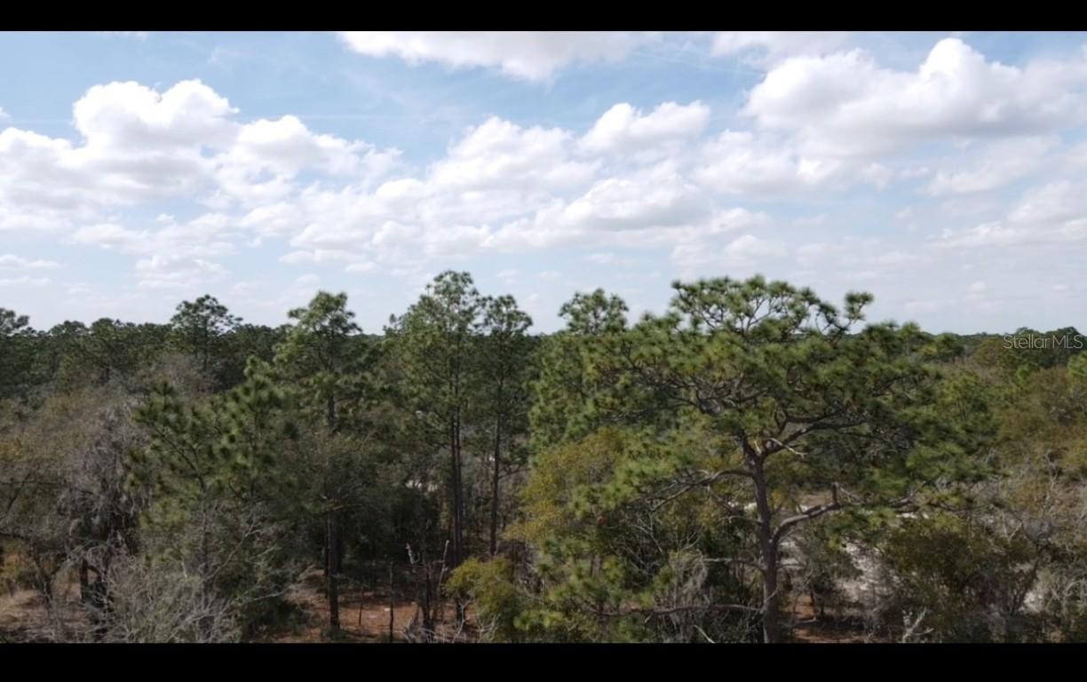 TBD SW 140th Ct., Ocala, FL 34481