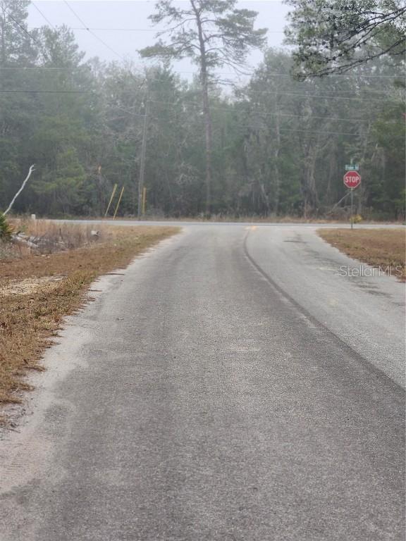 00 Fischer Trail Ter., Ocklawaha, FL 32179