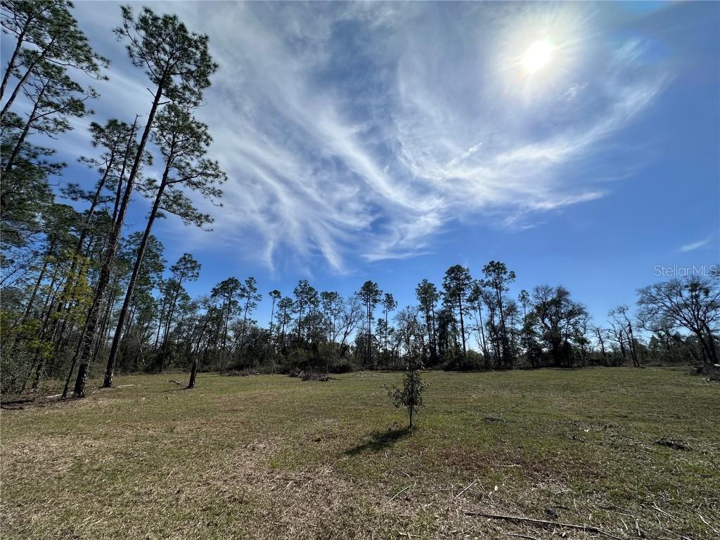 TBD NE 127th Ct., Williston, FL 32696