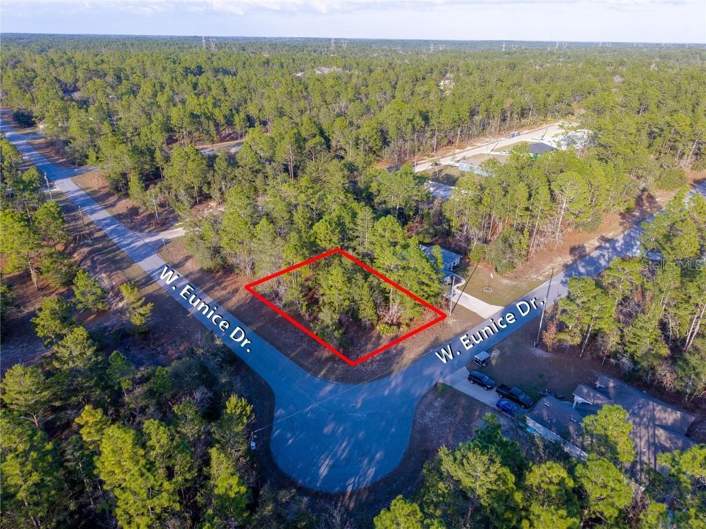 3825 W Eunice Dr., Citrus Springs, FL 34433