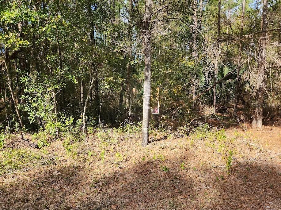 SW Rainbow Lakes Blvd., Dunnellon, FL 34432