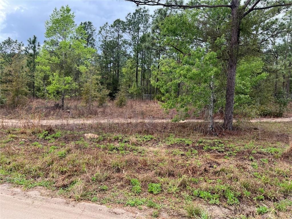 Sw 152nd Court, Ocala, FL 34481