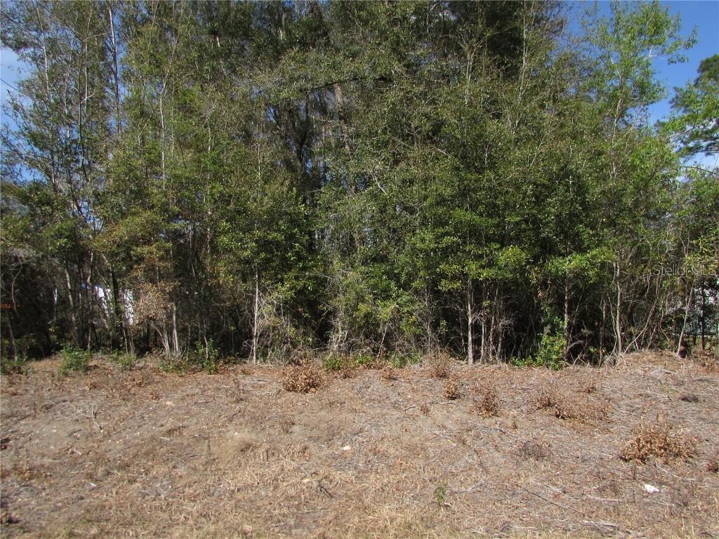 Lot 32 SW Robin Dr., Dunnellon, FL 34431