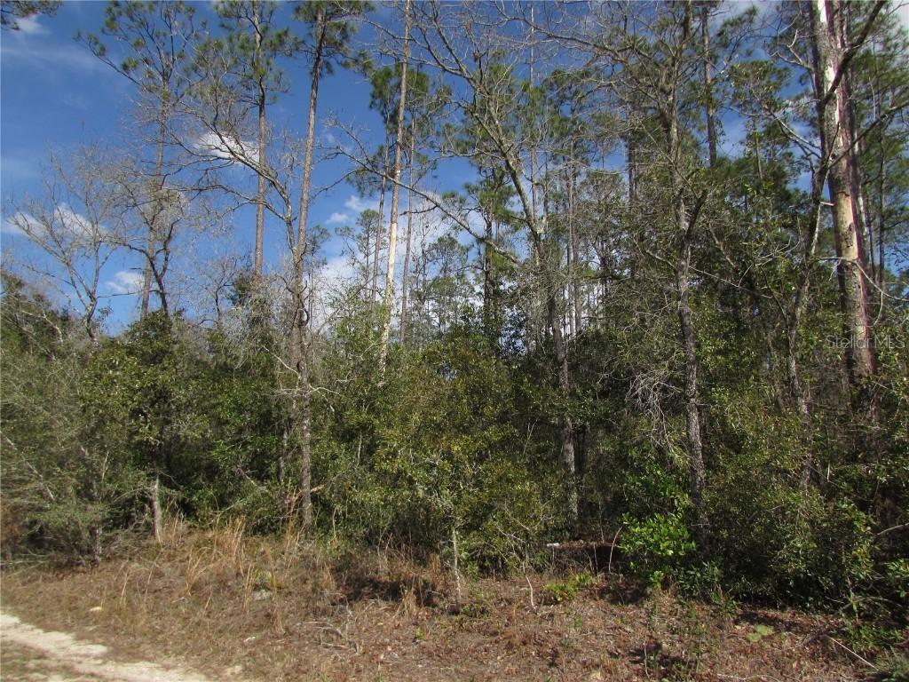 Lot 17 SW Westview Ave., Dunnellon, FL 34431
