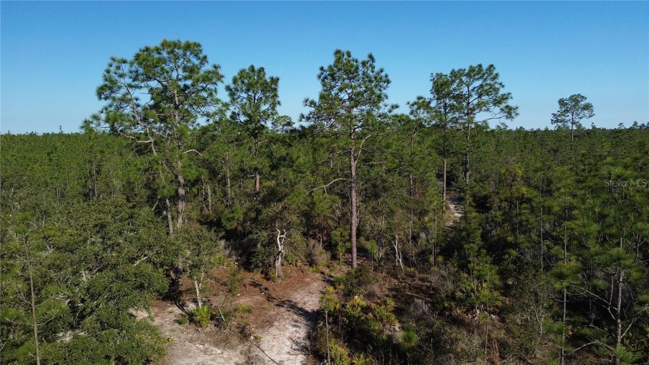 12500 NE 87th Pl., Bronson, FL 32621