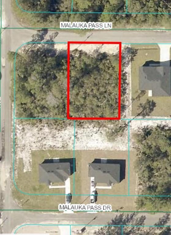 00 Malauka Pass Ln. #Lot 9, Ocklawaha, FL 32179