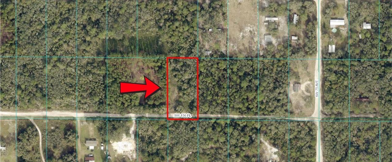 Tract 333 SW 156 Pl., Dunnellon, FL 34434