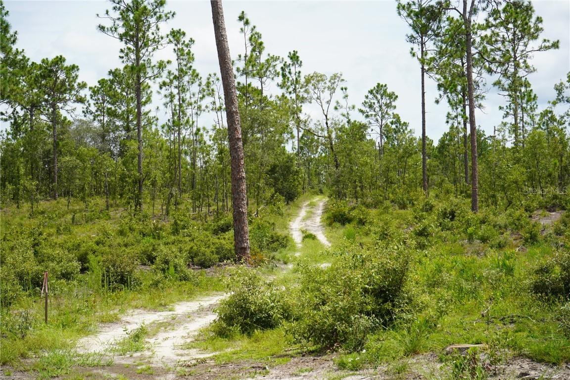 LOT B SE State Road 121 Lot B, Morriston, FL 32668
