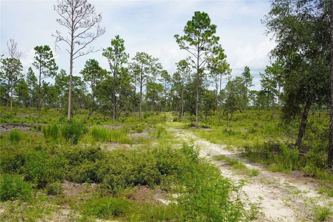 LOT A SE State Road 121 Lot A, Morriston, FL 32668