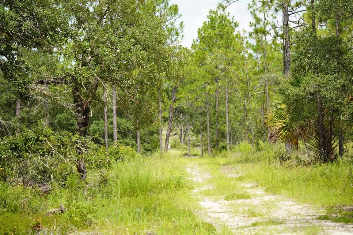 LOT D SE State Road 121 Lot D, Morriston, FL 32668