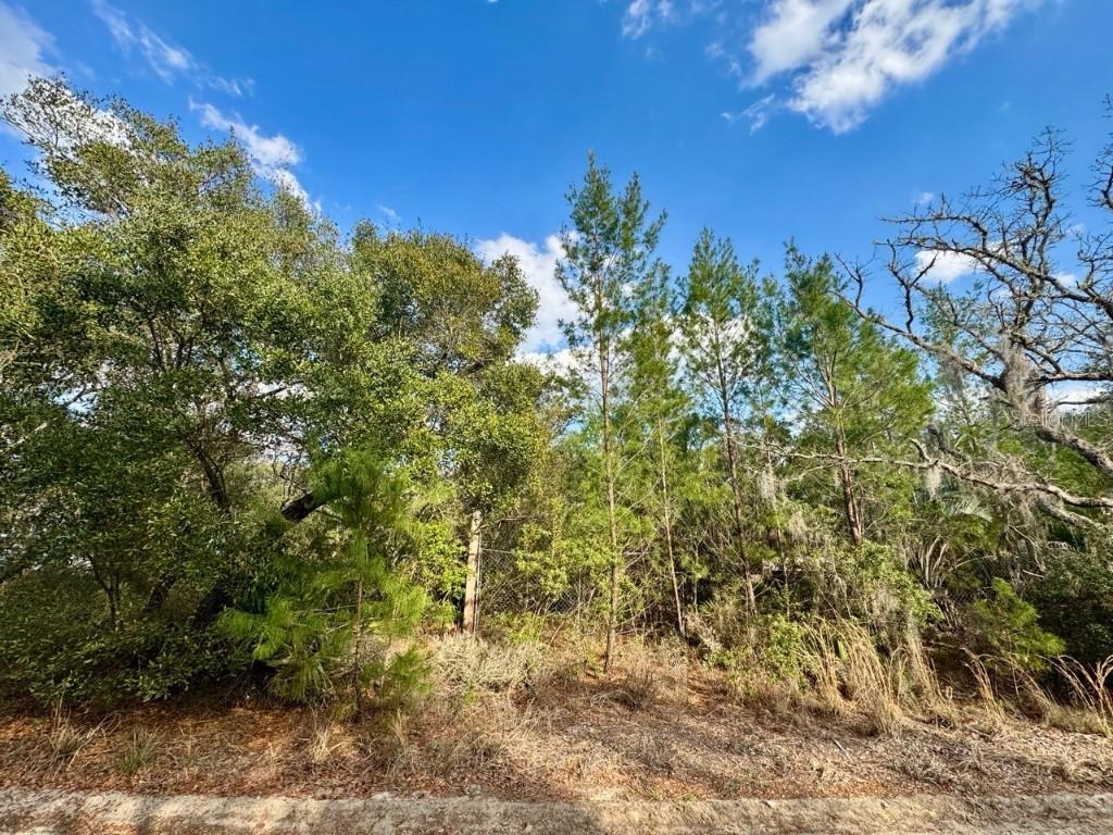 NE 159th Ct., Fort Mc Coy, FL 32134