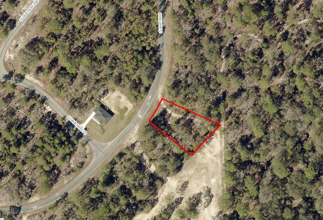 164 Guava Pass, Ocklawaha, FL 32179