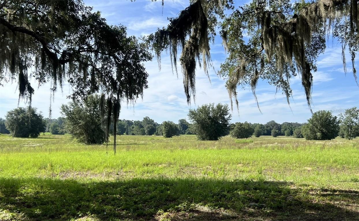 SE 116th Place Rd., Ocala, FL 34480
