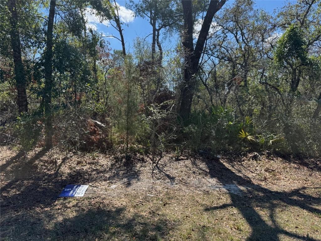 Lot 15 SW 139th Street Road, Ocala, FL 34473